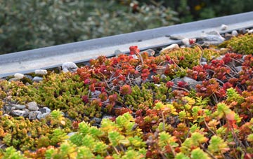 the cost of Taynton green roof installation