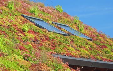 Taynton living roof systems